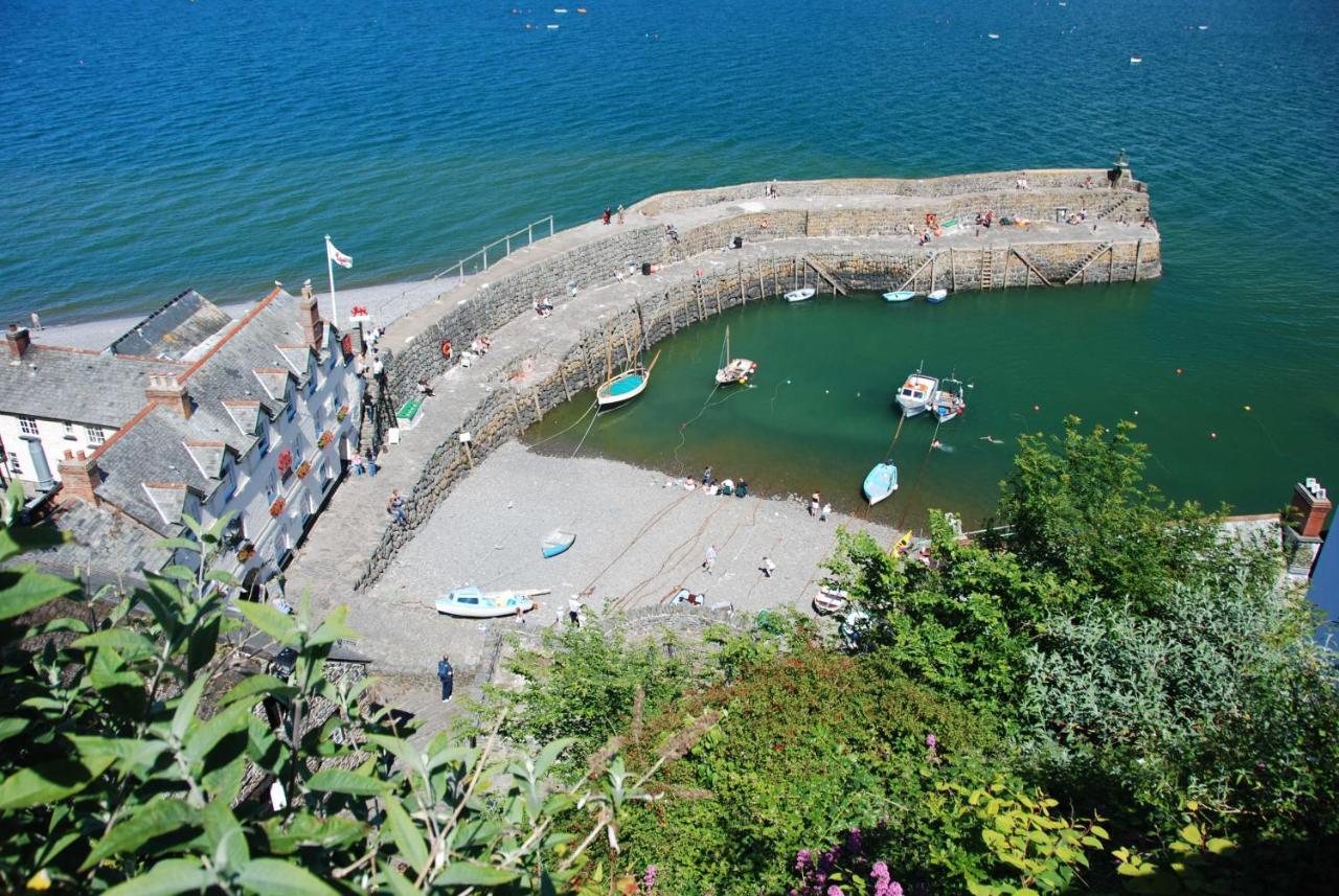 Seagulls Loft, Grove Apartments Ilfracombe Esterno foto
